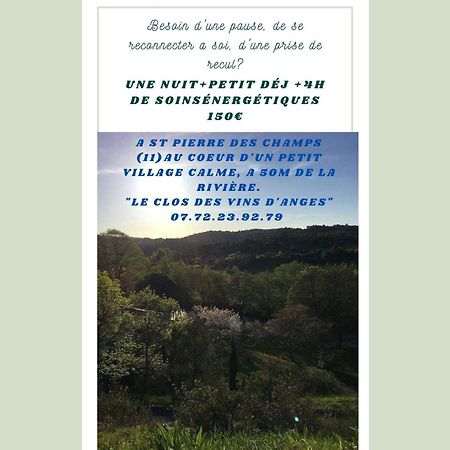Chambre D'Hote Au Jardin Le Clos Des Vins D'Anges Saint-Pierre-des-Champs 외부 사진